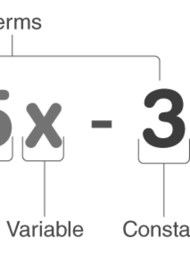 7 Important Questions – Arithmetic Progressions